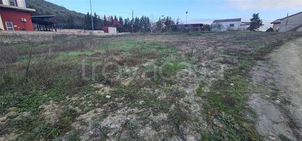 immagine annuncio 10 di 13