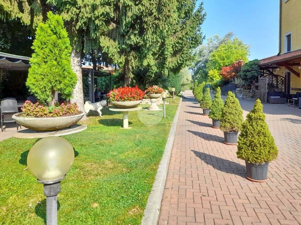 immagine annuncio 8 di 15