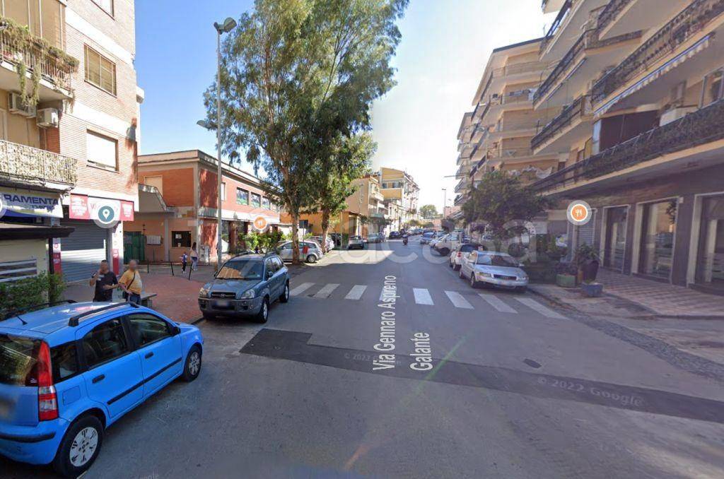 immagine annuncio 4 di 8