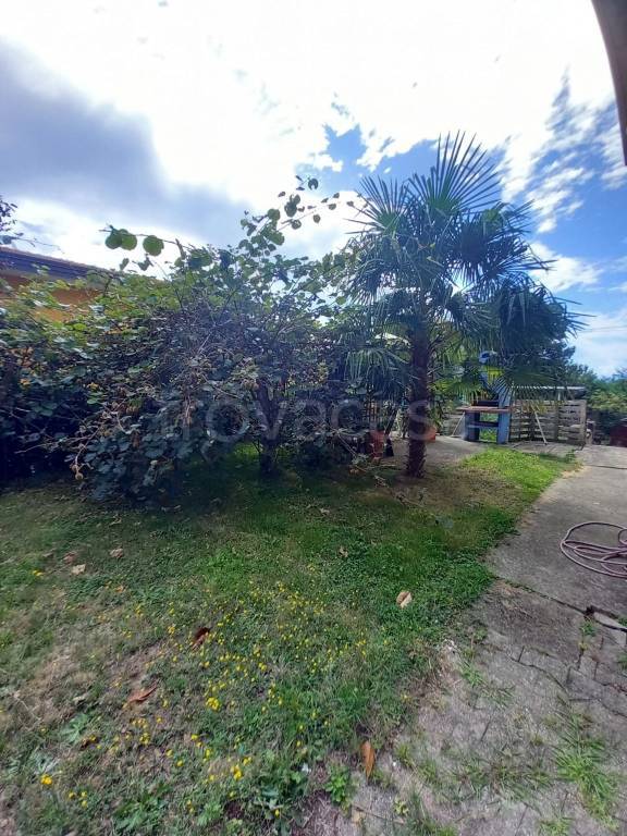 immagine annuncio 2 di 13