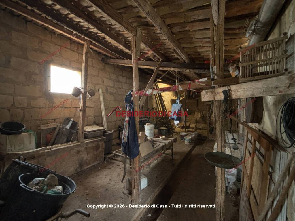 immagine annuncio 1 di 2