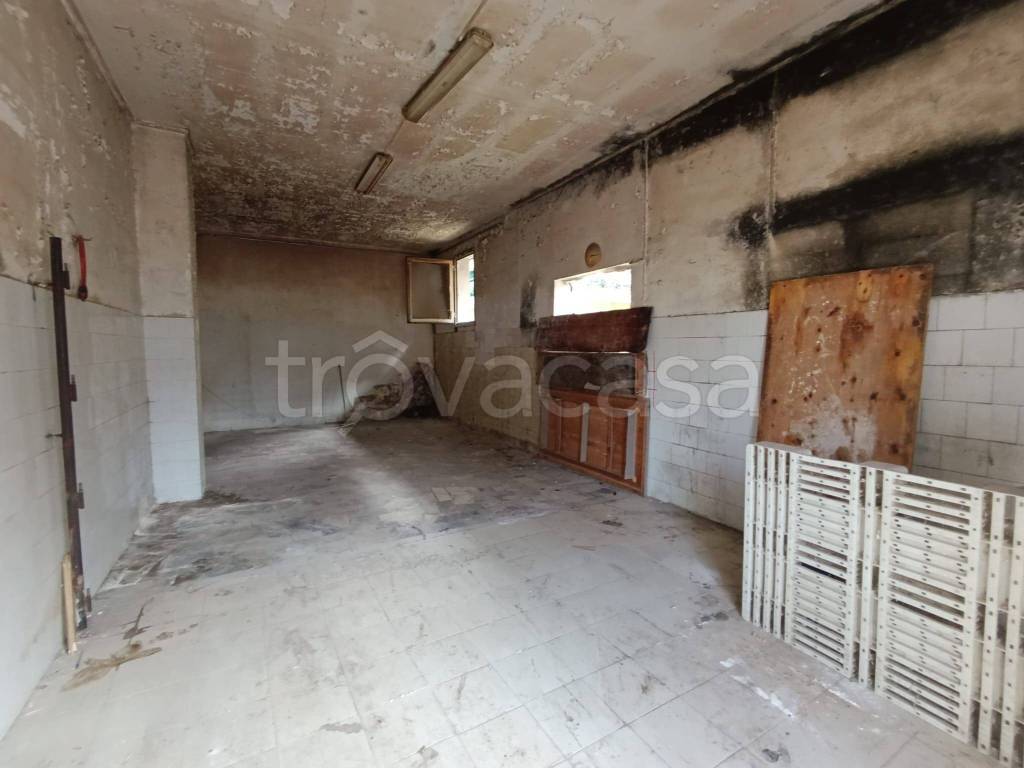 immagine annuncio 2 di 9