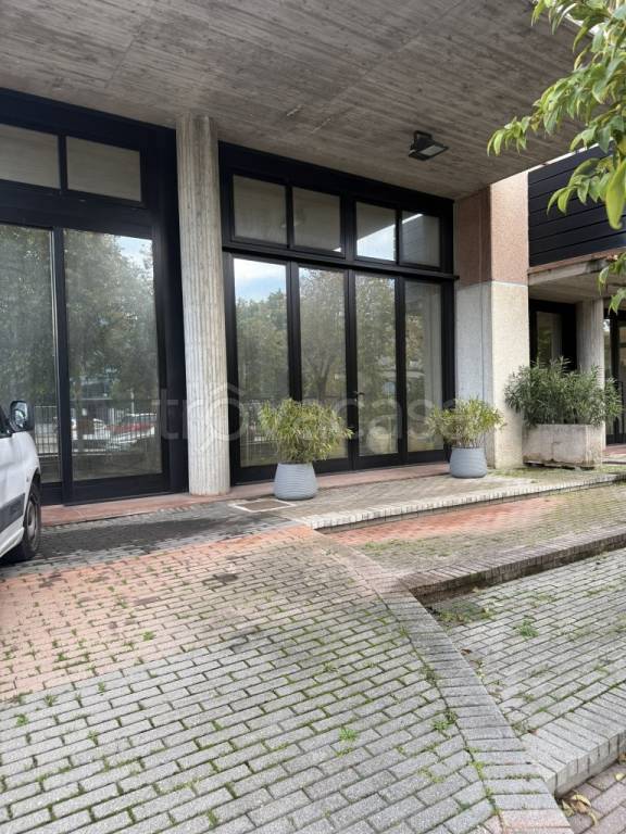 immagine annuncio 1 di 14