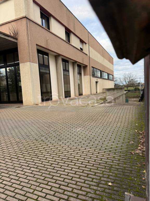 immagine annuncio 2 di 14