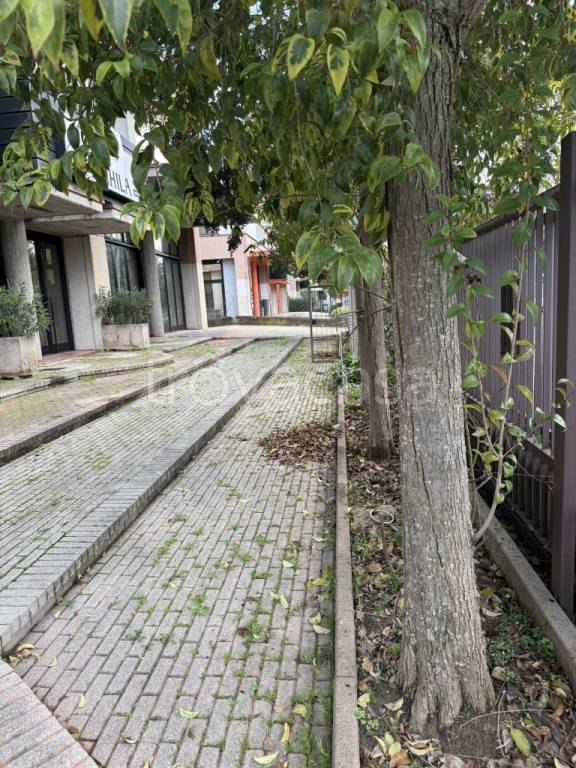 immagine annuncio 3 di 14