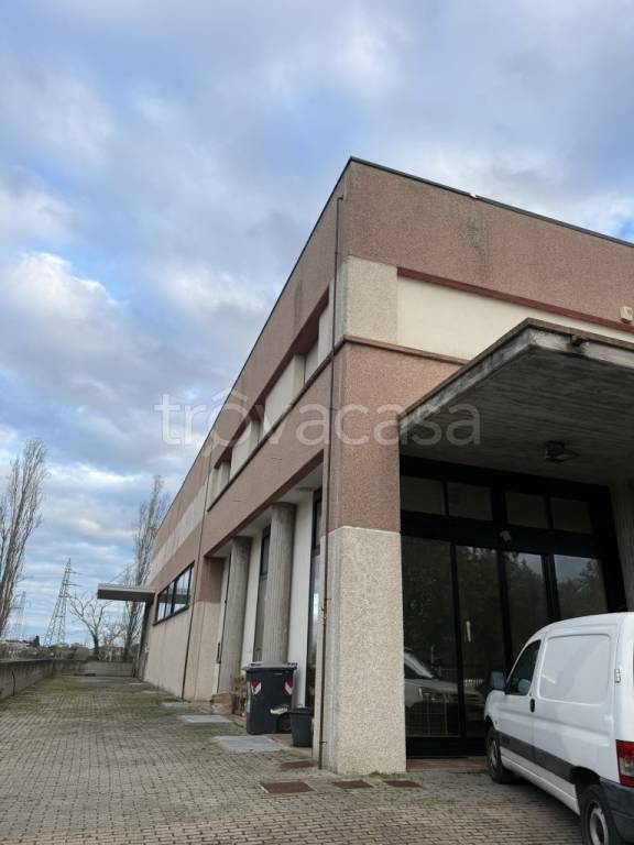 immagine annuncio 5 di 14