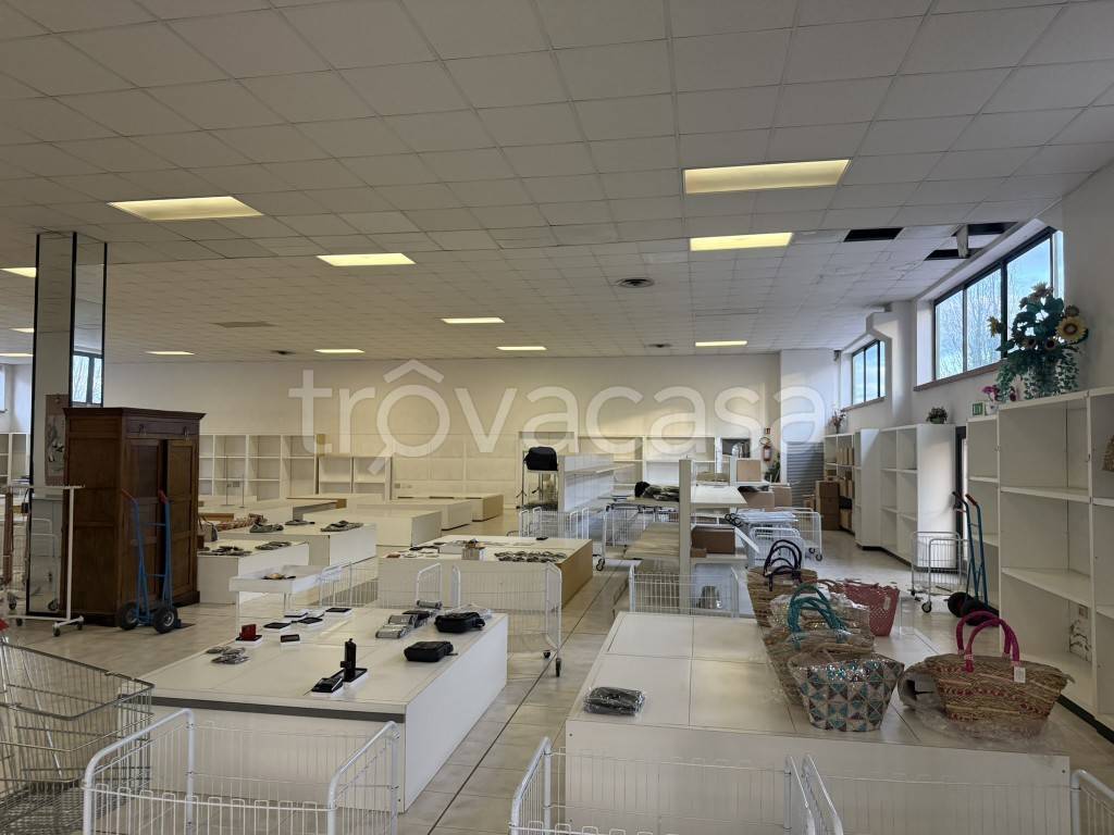 immagine annuncio 6 di 14