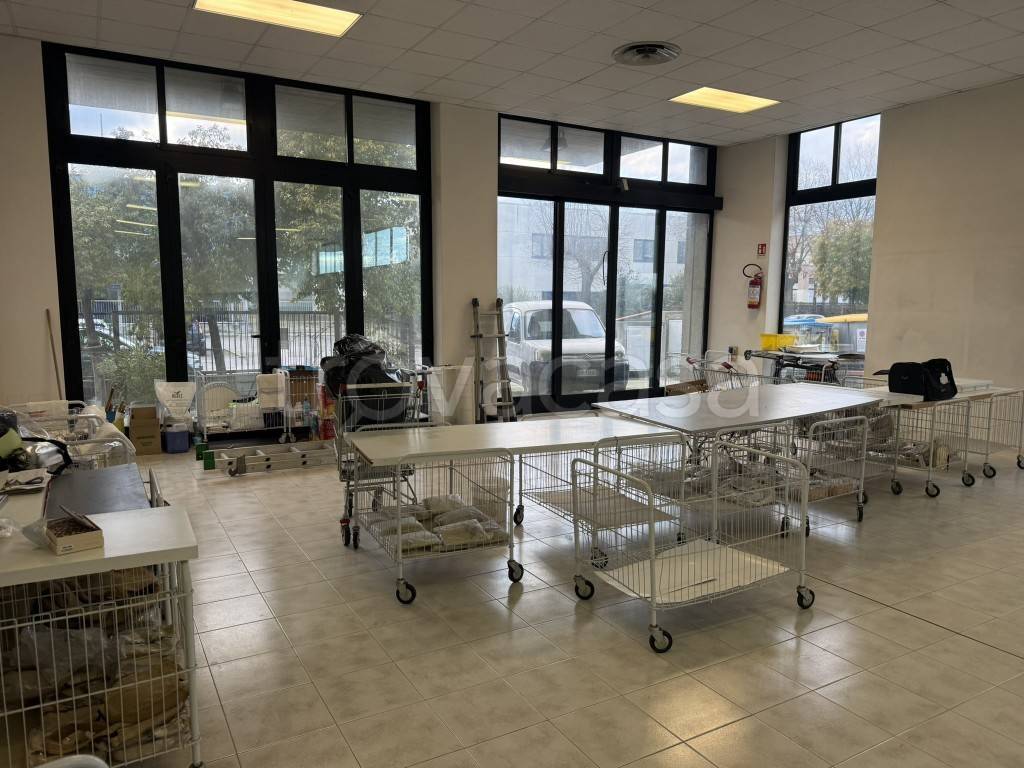 immagine annuncio 7 di 14