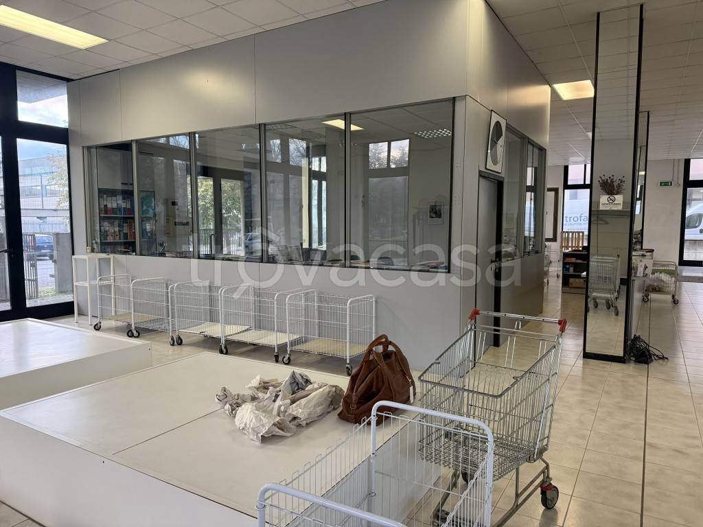 immagine annuncio 9 di 14