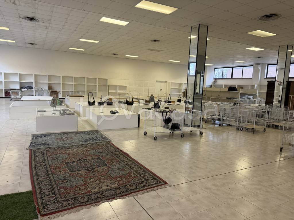 immagine annuncio 10 di 14