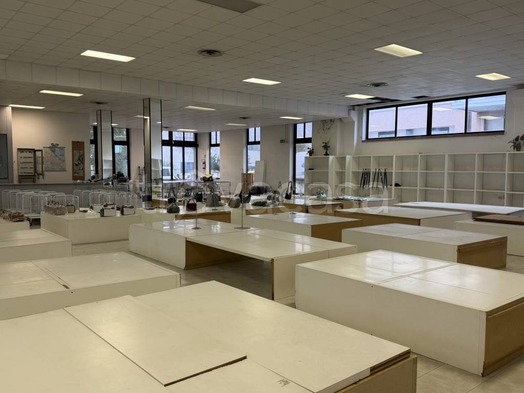 immagine annuncio 11 di 14