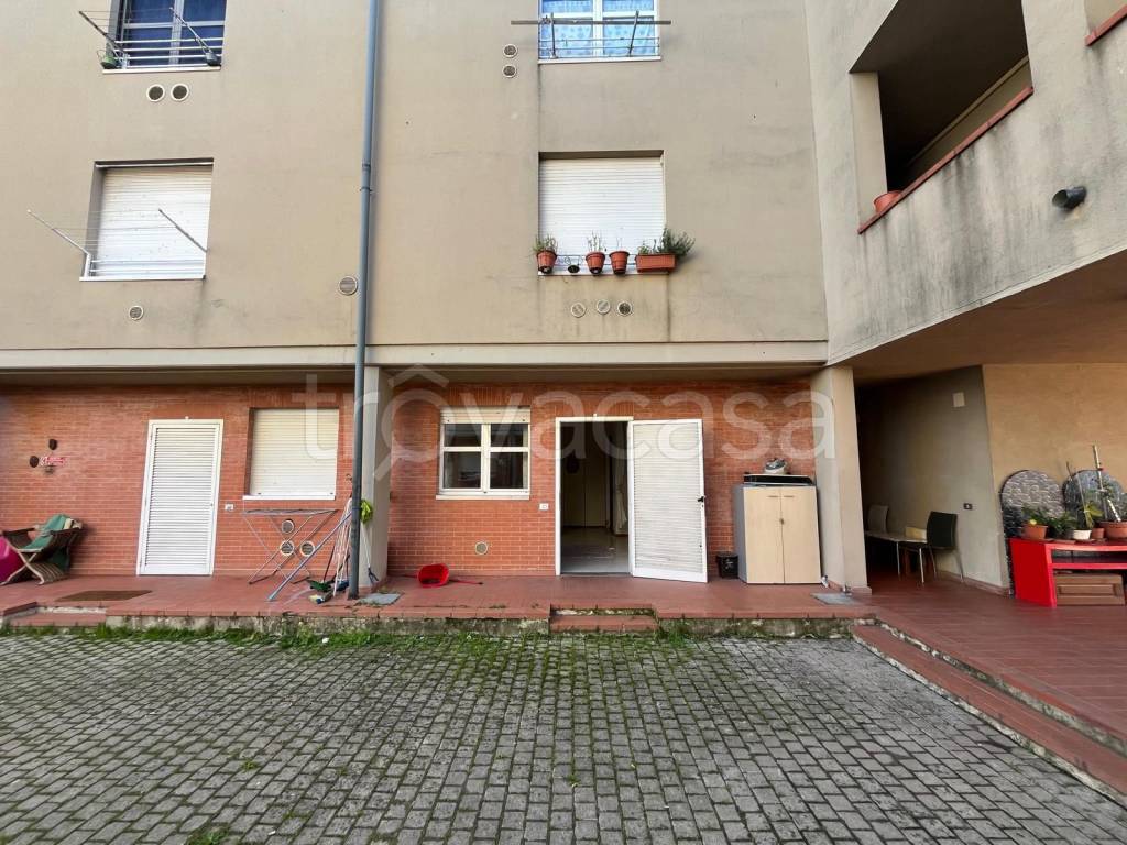 immagine annuncio 3 di 13