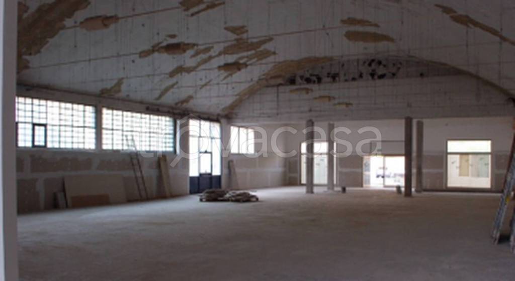 immagine annuncio 2 di 11