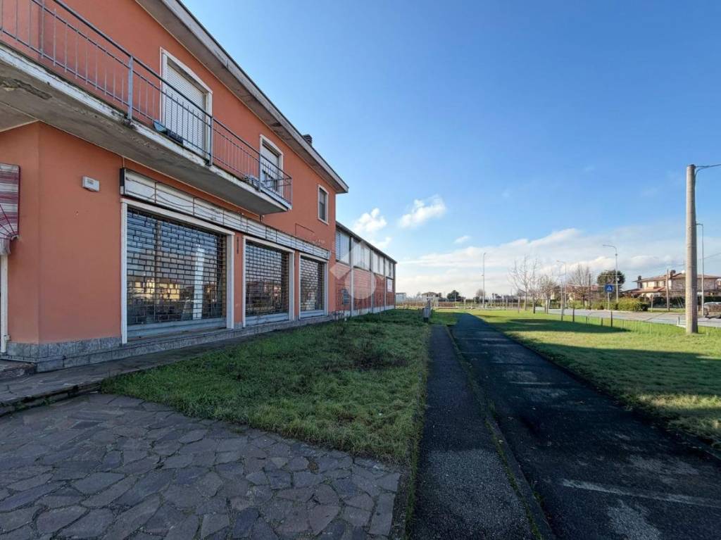 immagine annuncio 12 di 15