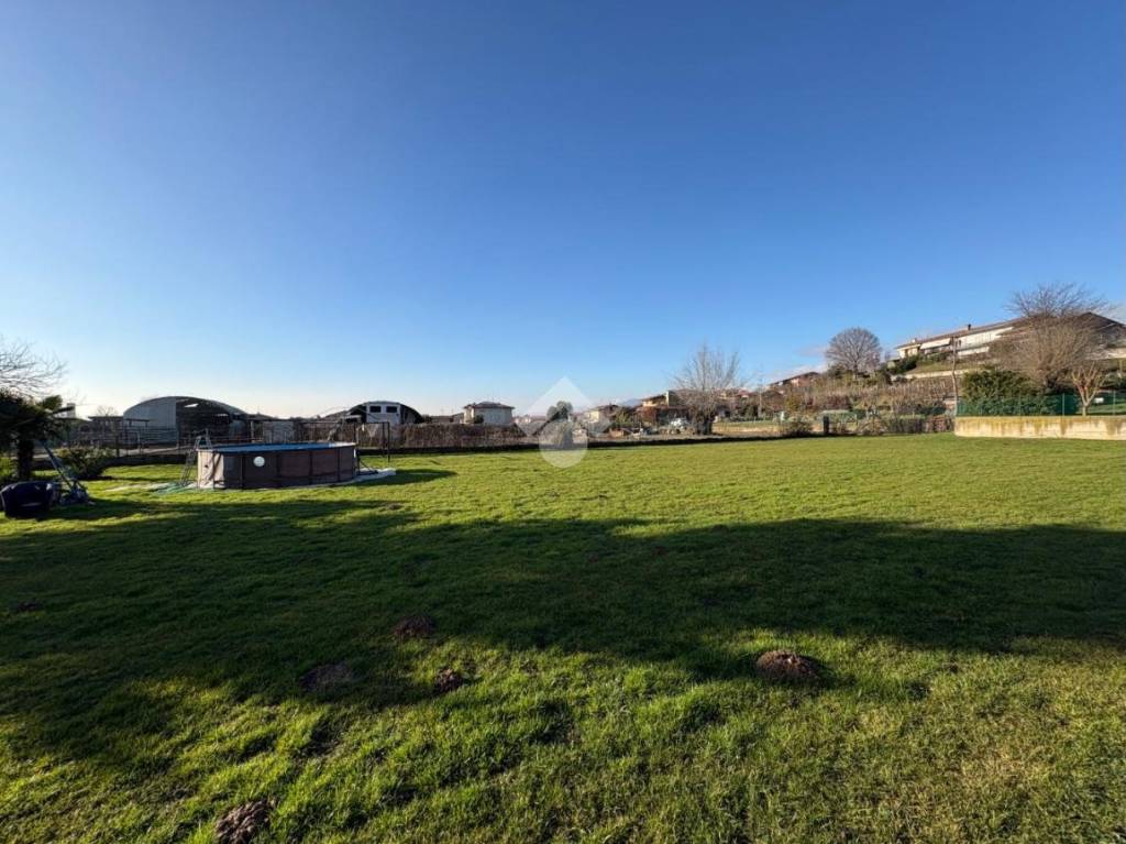 immagine annuncio 5 di 8