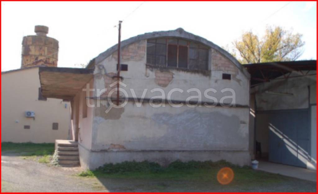 immagine annuncio 6 di 13