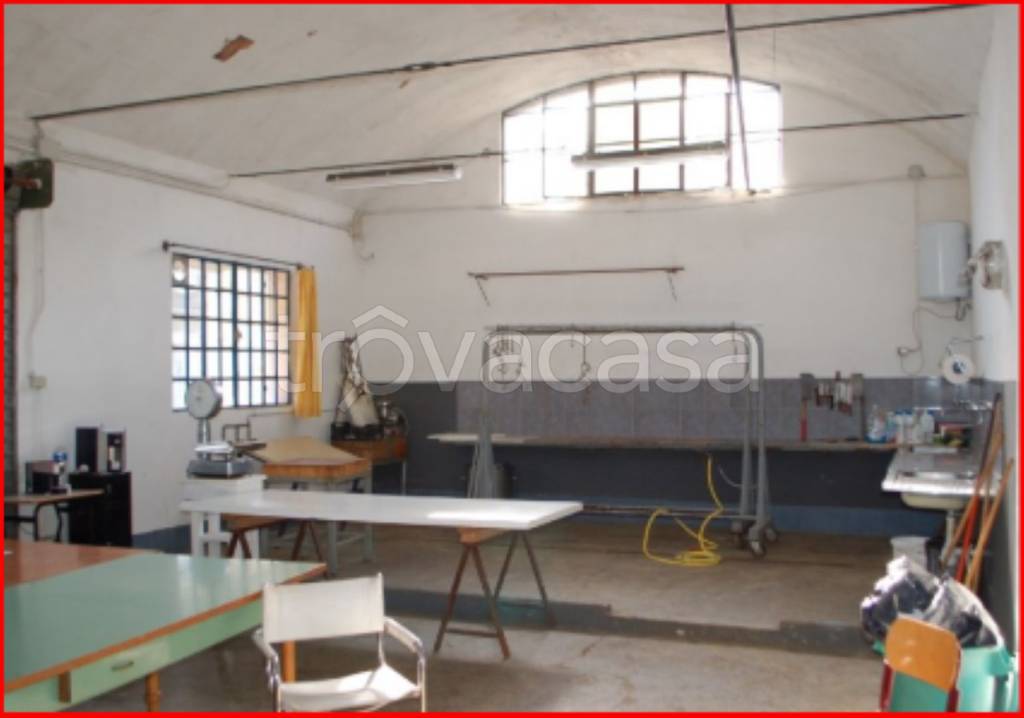 immagine annuncio 7 di 13