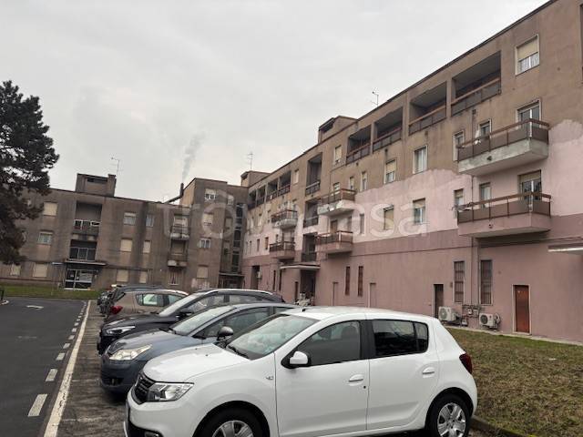 immagine annuncio 6 di 15