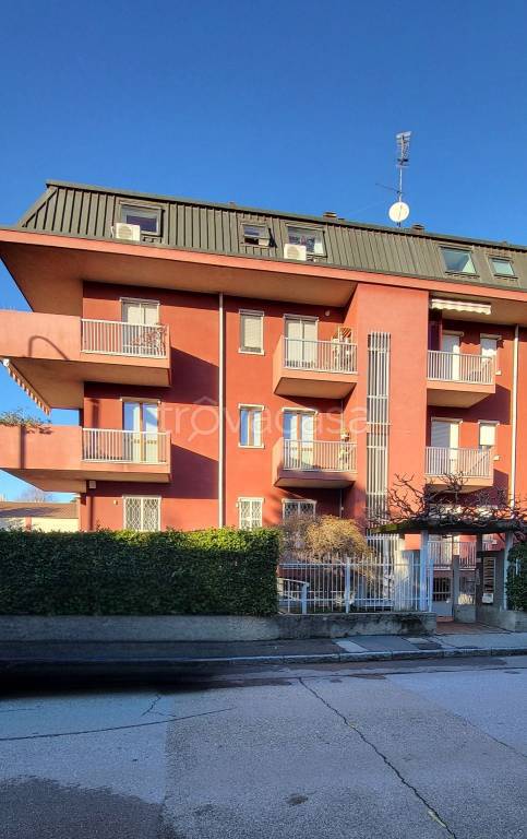 immagine annuncio 11 di 15