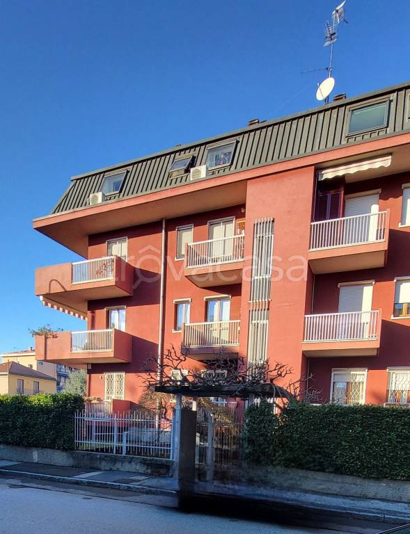 immagine annuncio 12 di 15