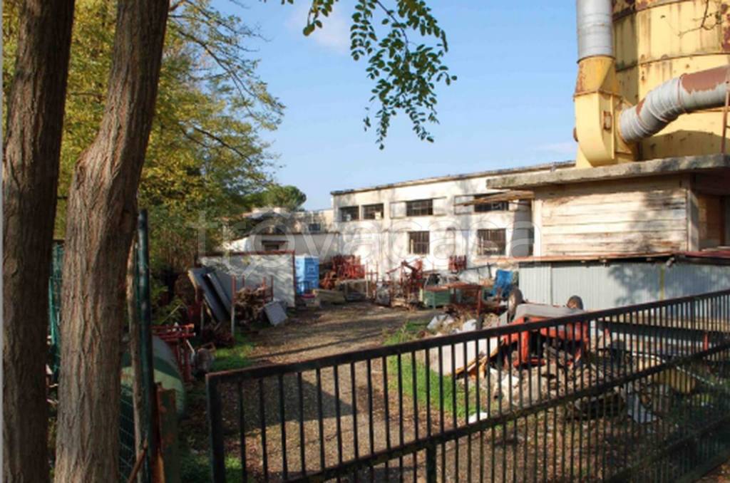 immagine annuncio 6 di 11