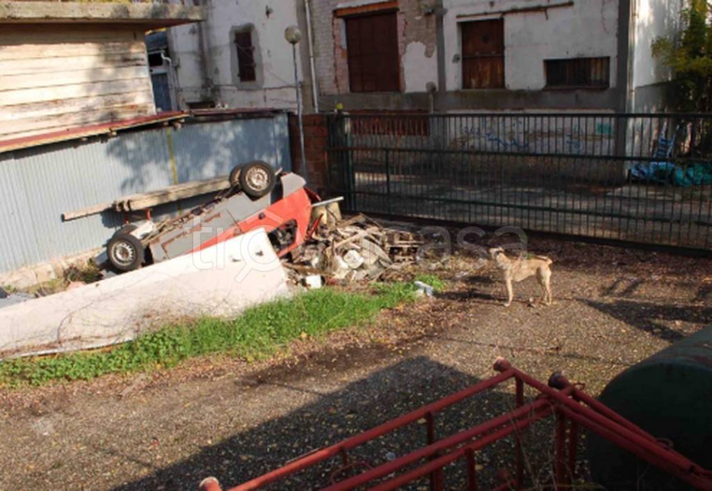 immagine annuncio 7 di 11