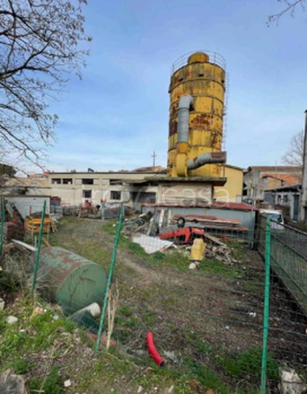 immagine annuncio 9 di 11