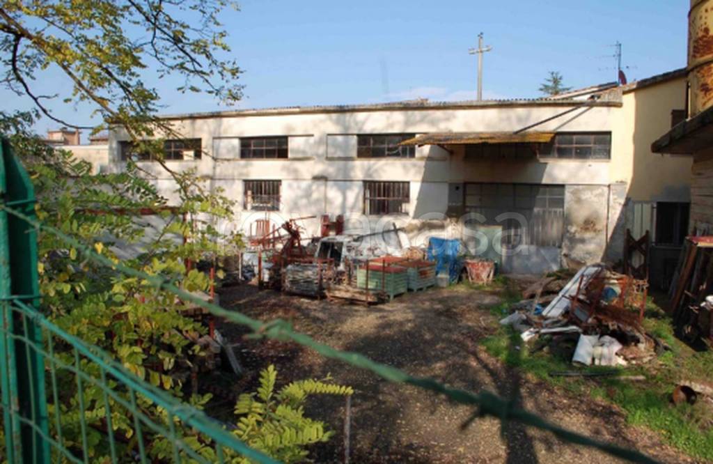 immagine annuncio 10 di 11