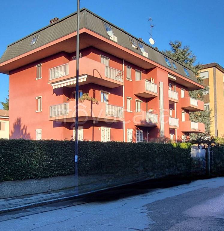 immagine annuncio 9 di 15