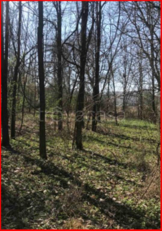 immagine annuncio 4 di 11