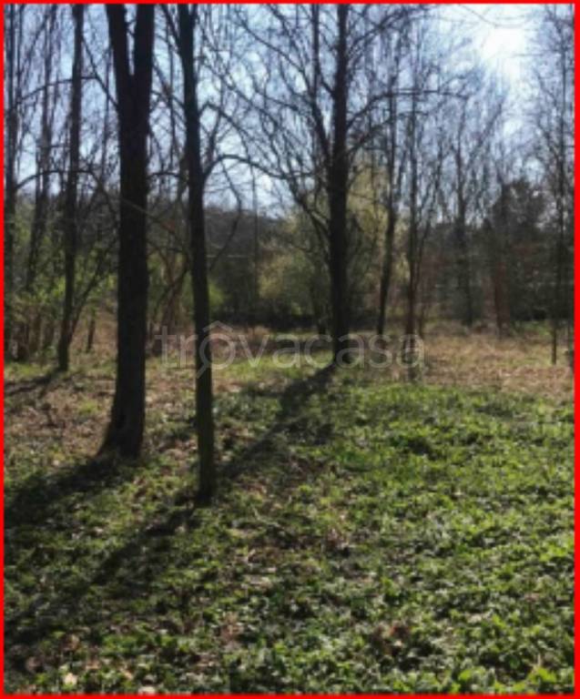 immagine annuncio 6 di 11