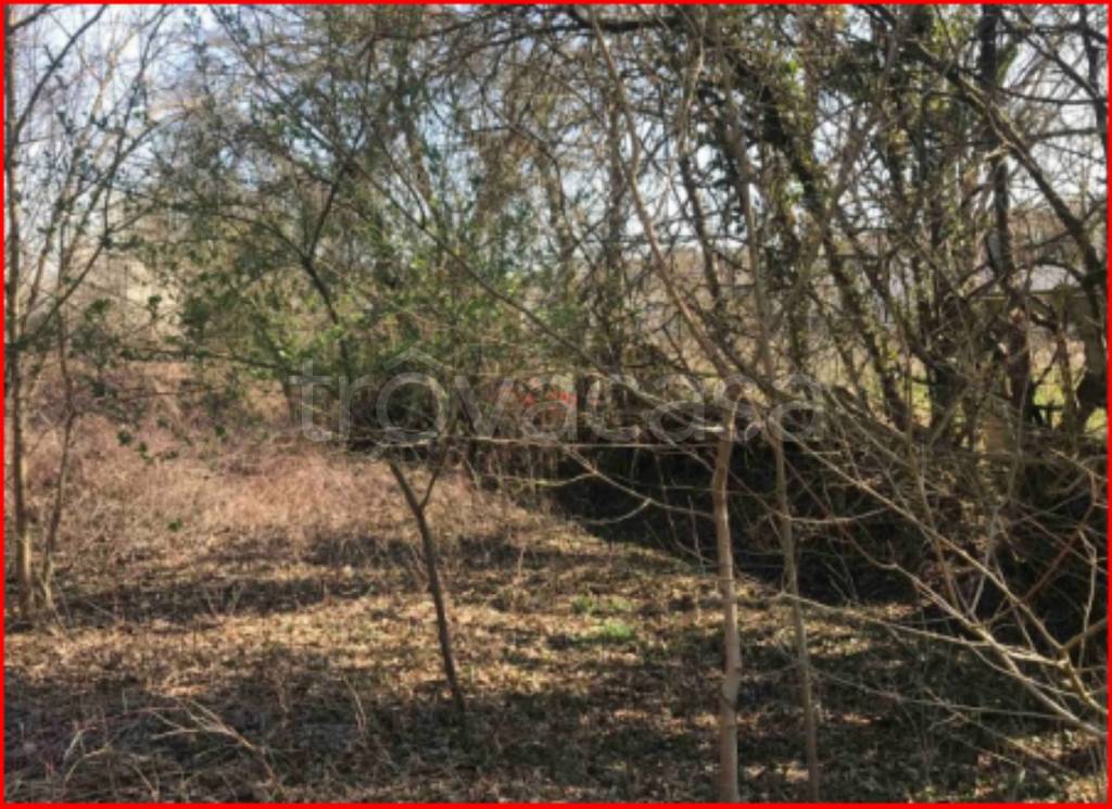 immagine annuncio 7 di 11