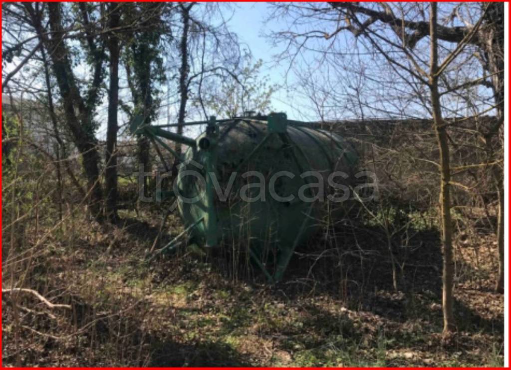 immagine annuncio 9 di 11