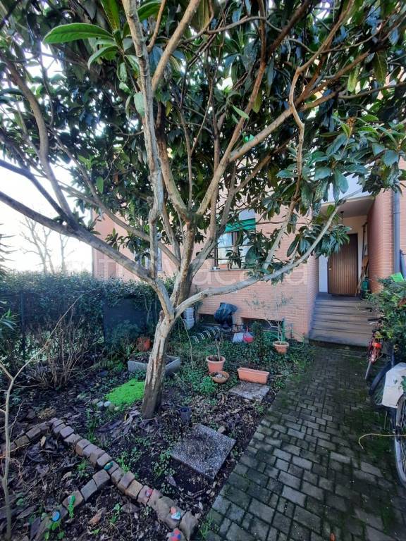 immagine annuncio 11 di 15