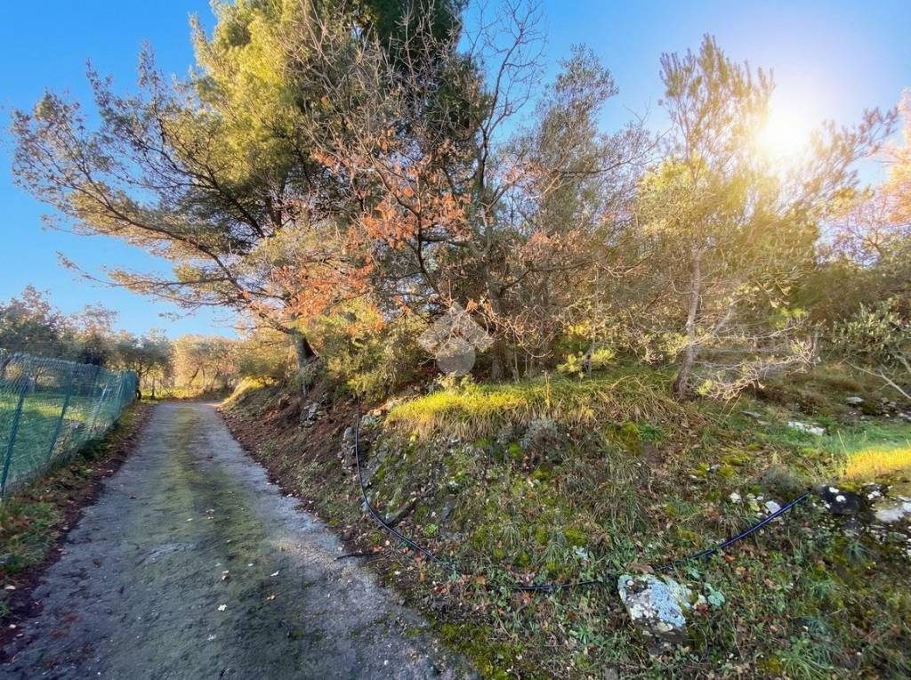 immagine annuncio 7 di 14