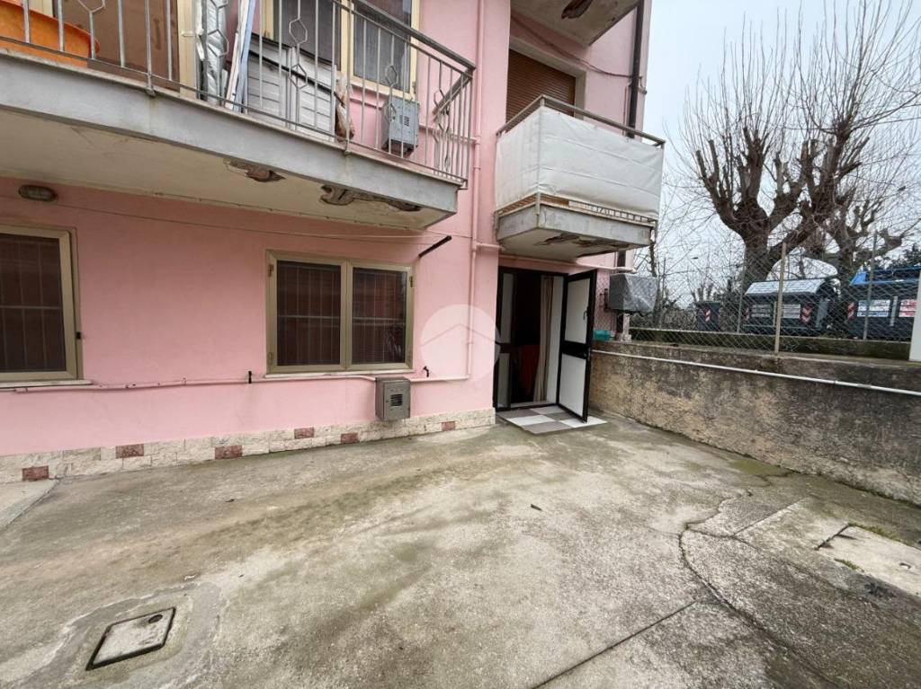 immagine annuncio 12 di 13