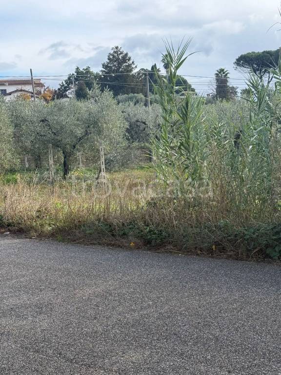 immagine annuncio 2 di 4