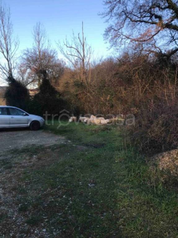 immagine annuncio 1 di 11