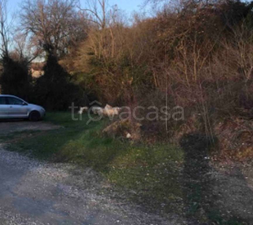 immagine annuncio 9 di 11