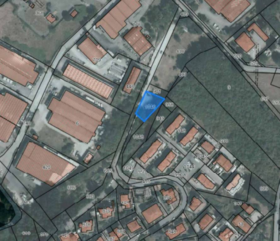 immagine annuncio 10 di 11