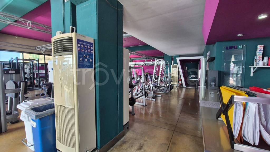 immagine annuncio 6 di 15