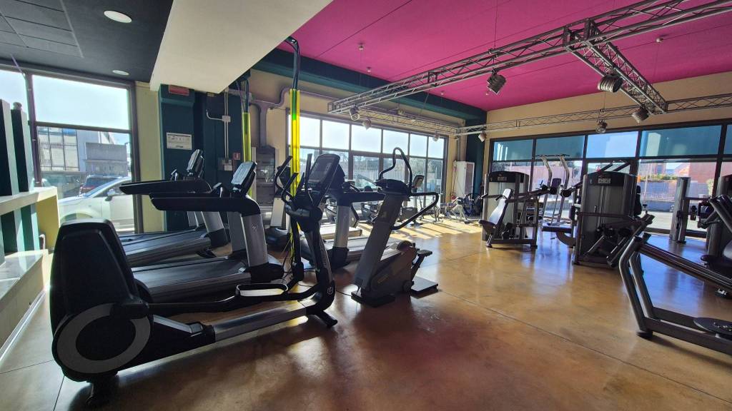 immagine annuncio 7 di 15