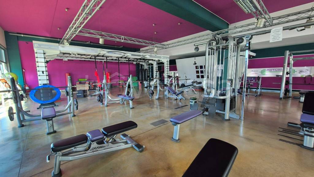 immagine annuncio 10 di 15