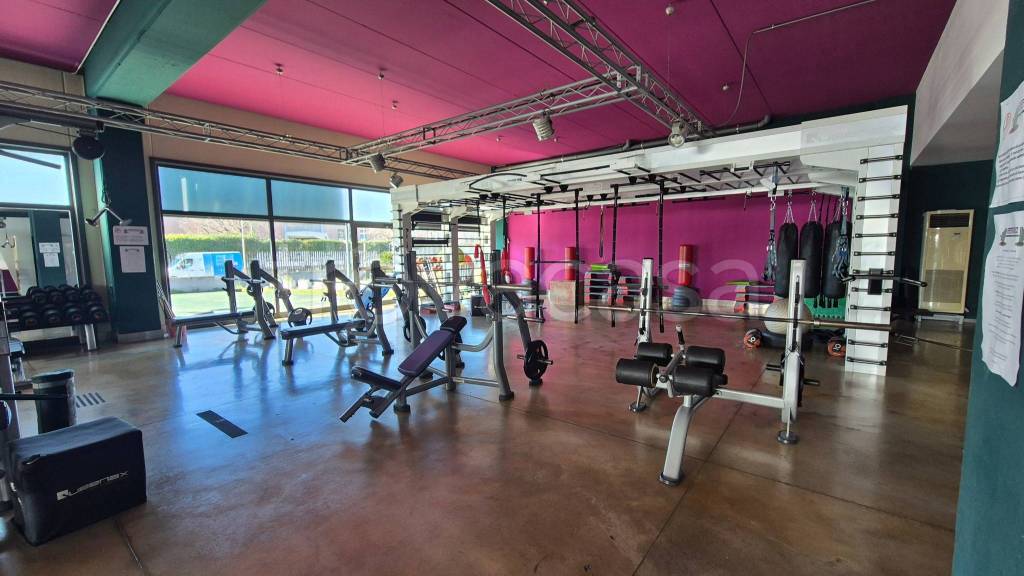 immagine annuncio 11 di 15