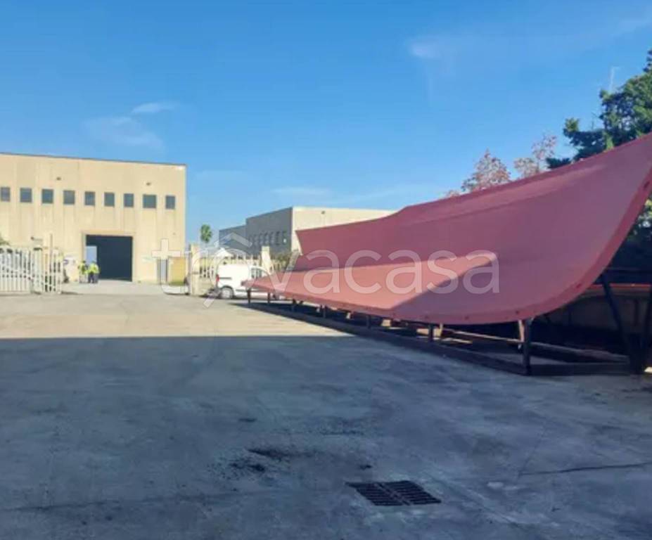 immagine annuncio 5 di 12