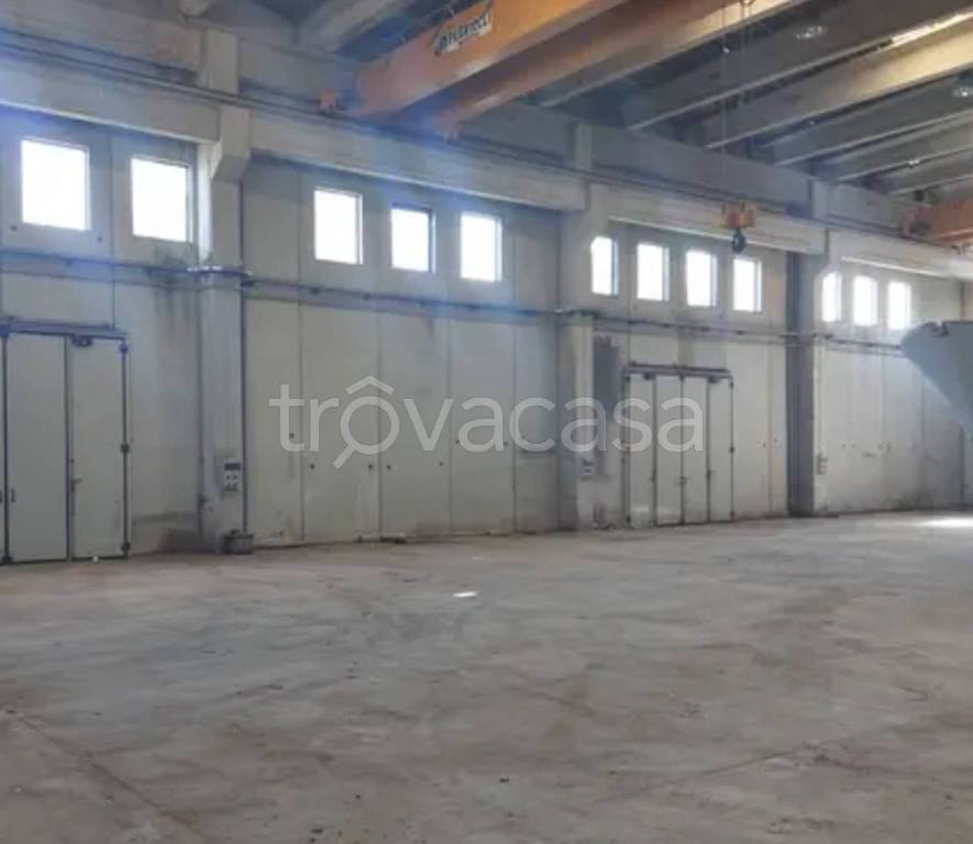 immagine annuncio 8 di 12