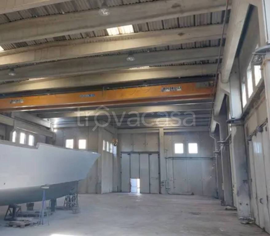 immagine annuncio 10 di 12