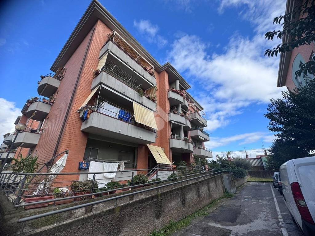 immagine annuncio 8 di 15