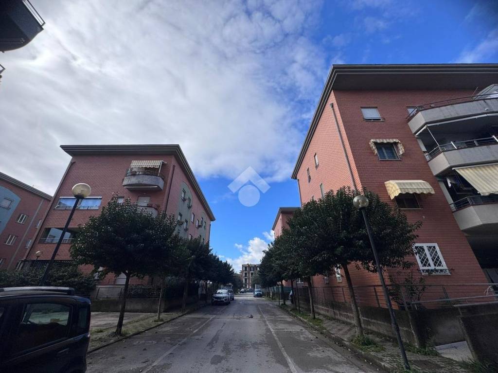 immagine annuncio 13 di 14