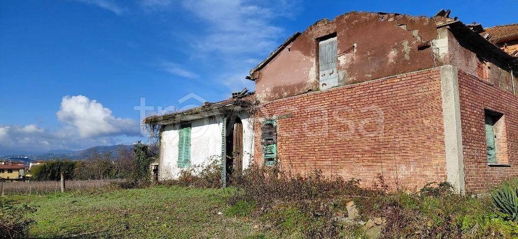 immagine annuncio 8 di 13